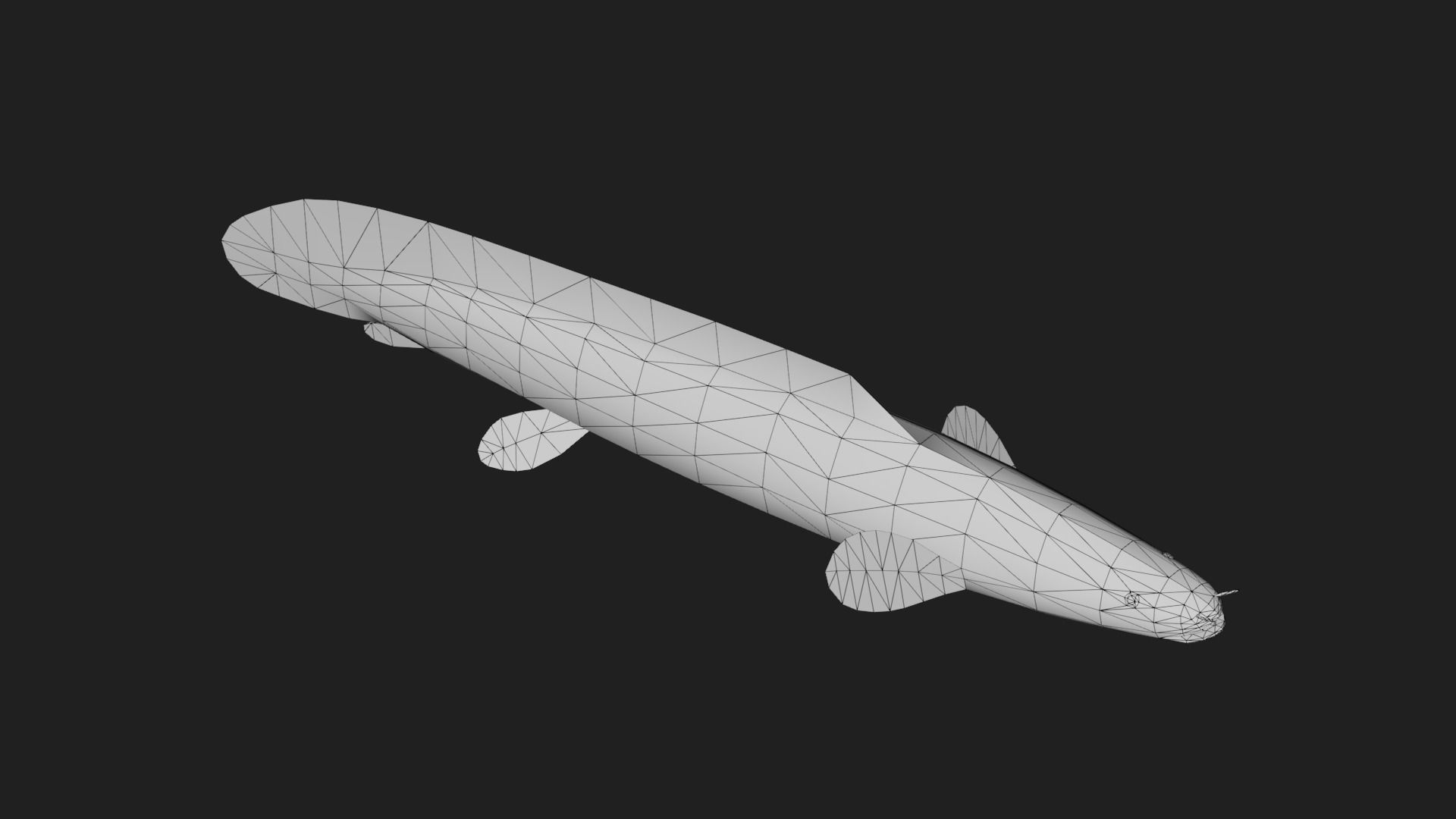 Bichir Low-poly 3D model_5