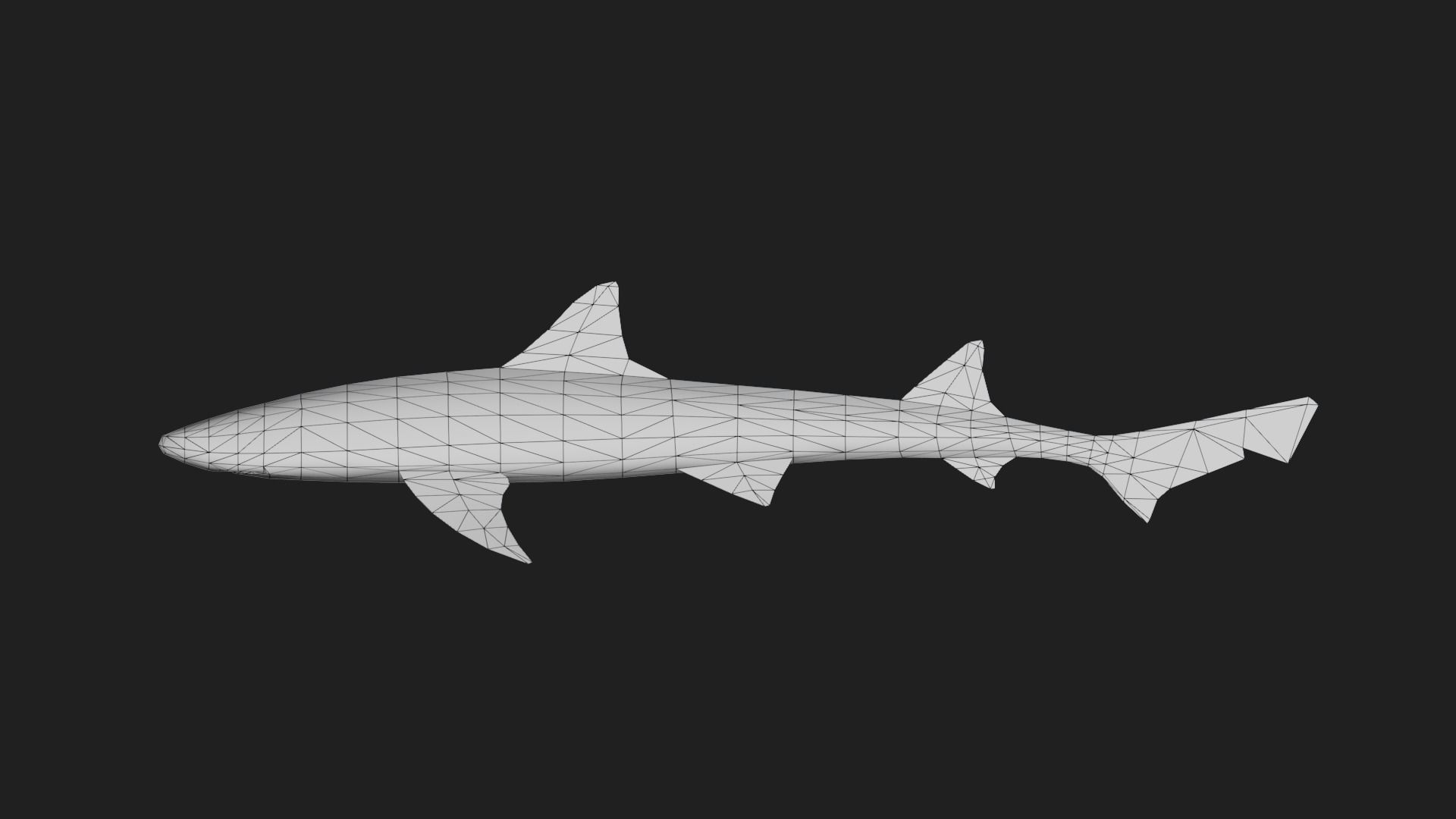Shark Low-poly 3D model_1