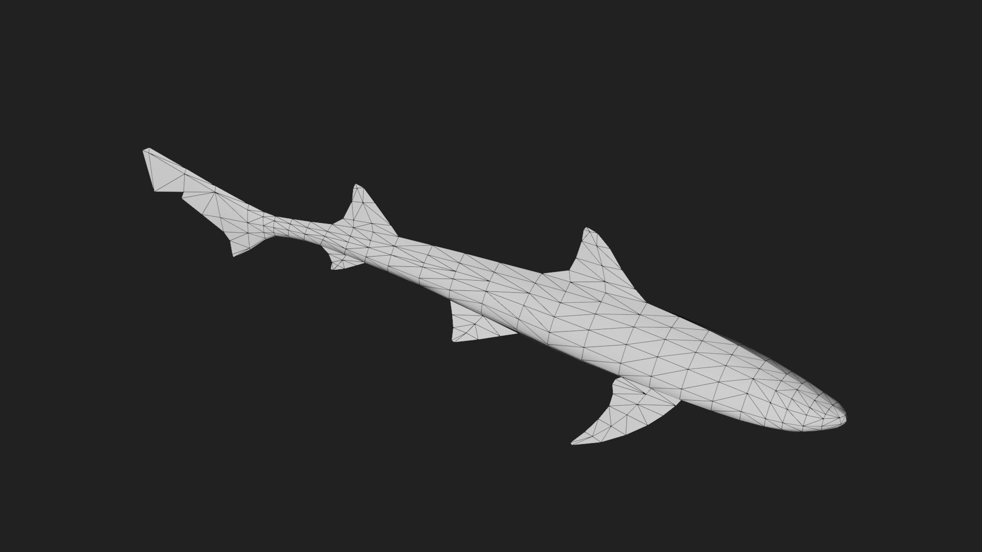 Shark Low-poly 3D model_5