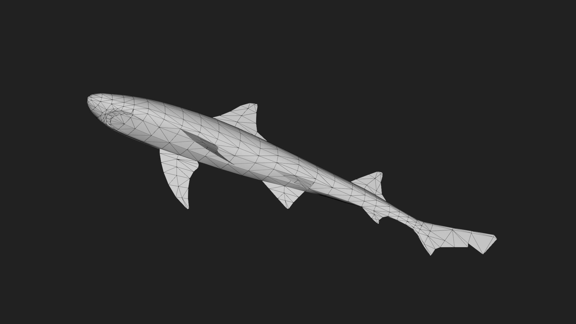 Shark Low-poly 3D model_3
