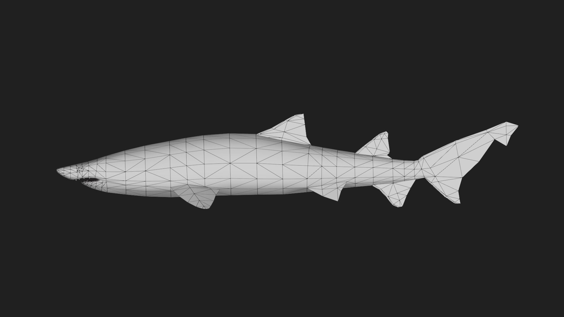 Shark Low-poly 3D model_1