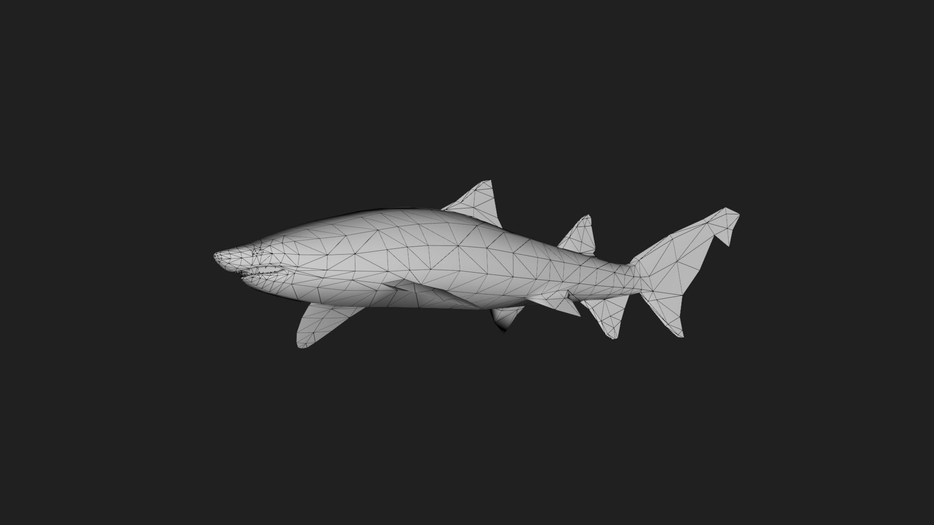 Shark Low-poly 3D model_3