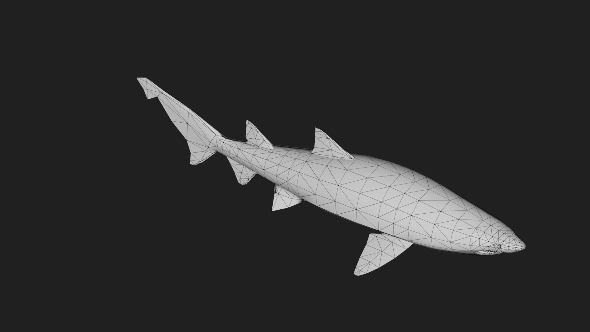 Shark Low-poly 3D model_5
