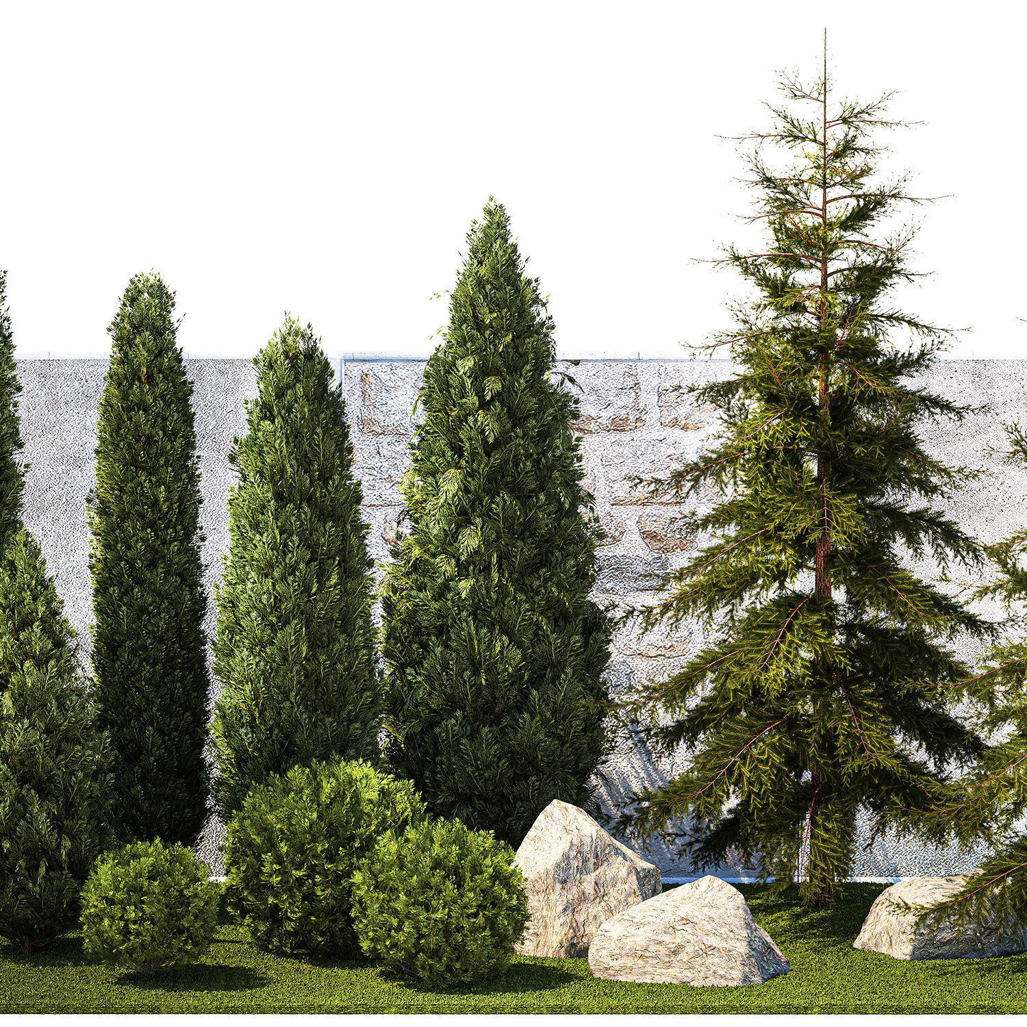 Garden with trees and bushes thuja cypress spruce and pine 1385 3D model_9