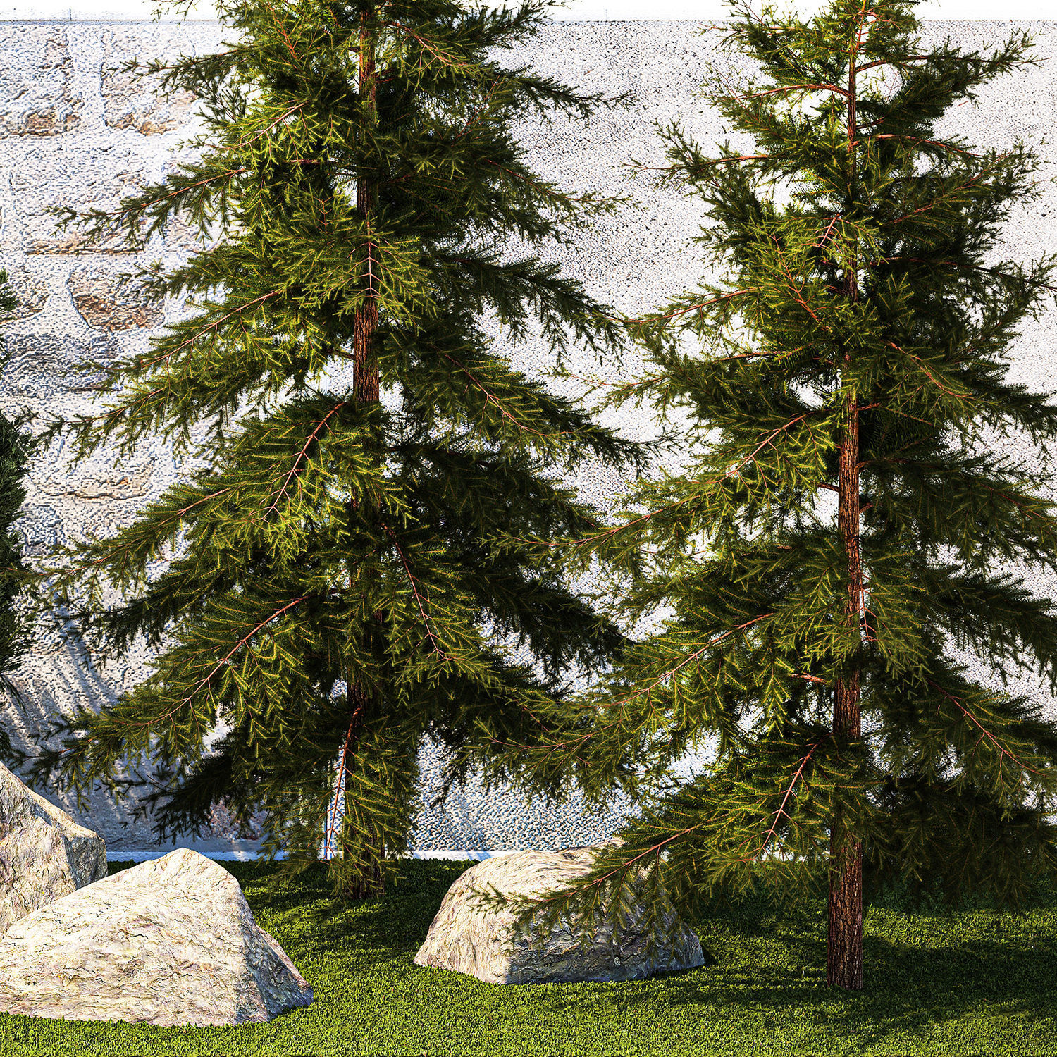 Garden with trees and bushes thuja cypress spruce and pine 1385 3D model_12