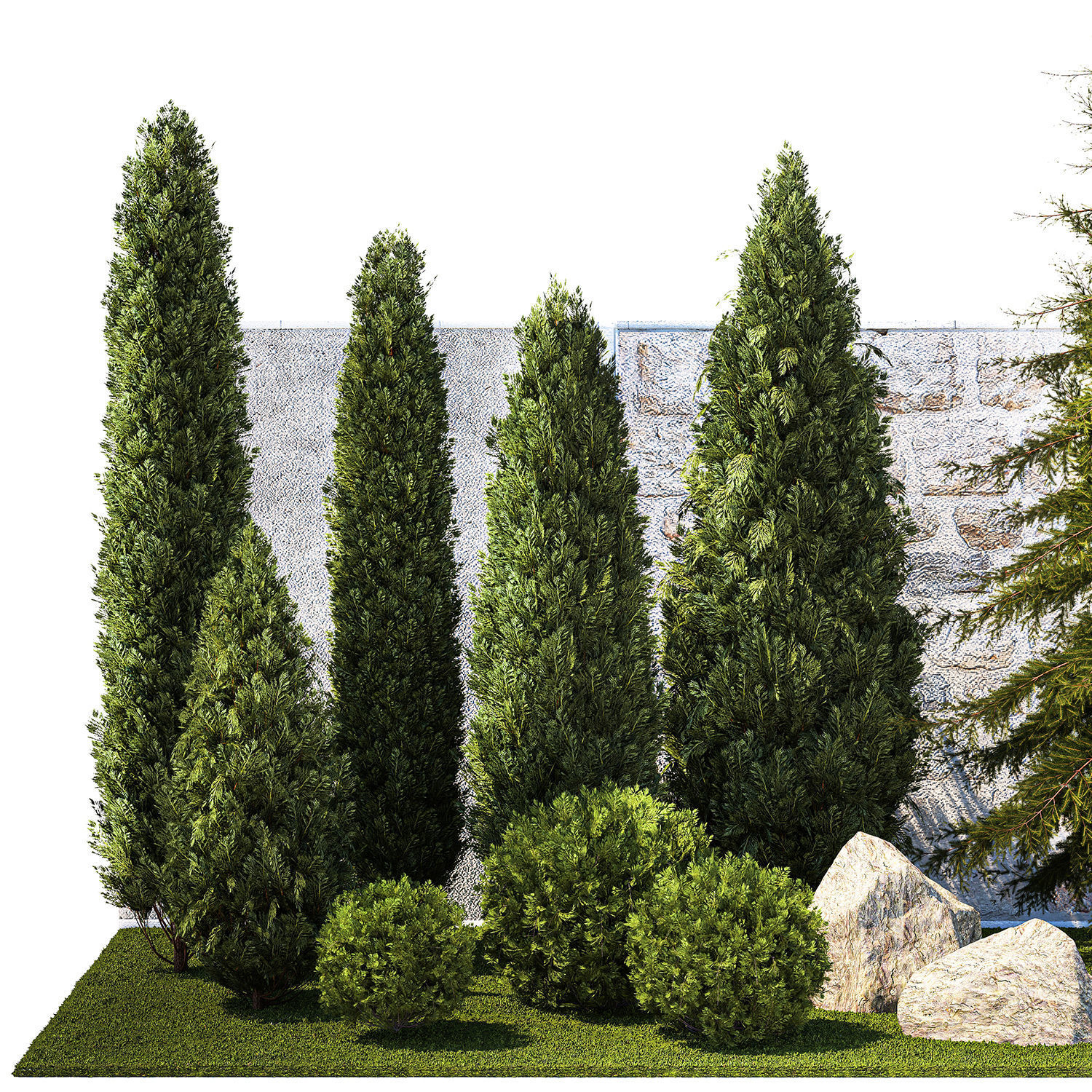 Garden with trees and bushes thuja cypress spruce and pine 1385 3D model_8
