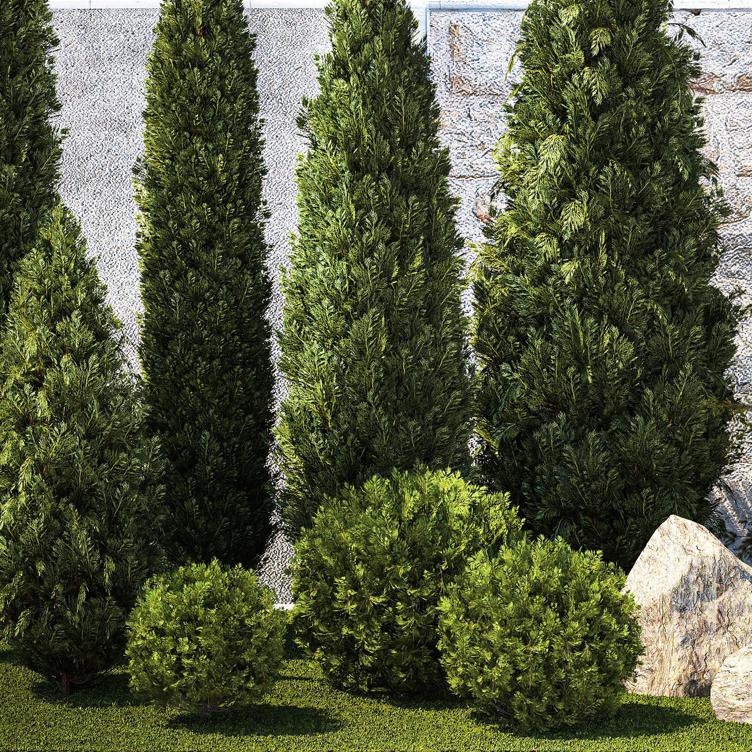 Garden with trees and bushes thuja cypress spruce and pine 1385 3D model_11
