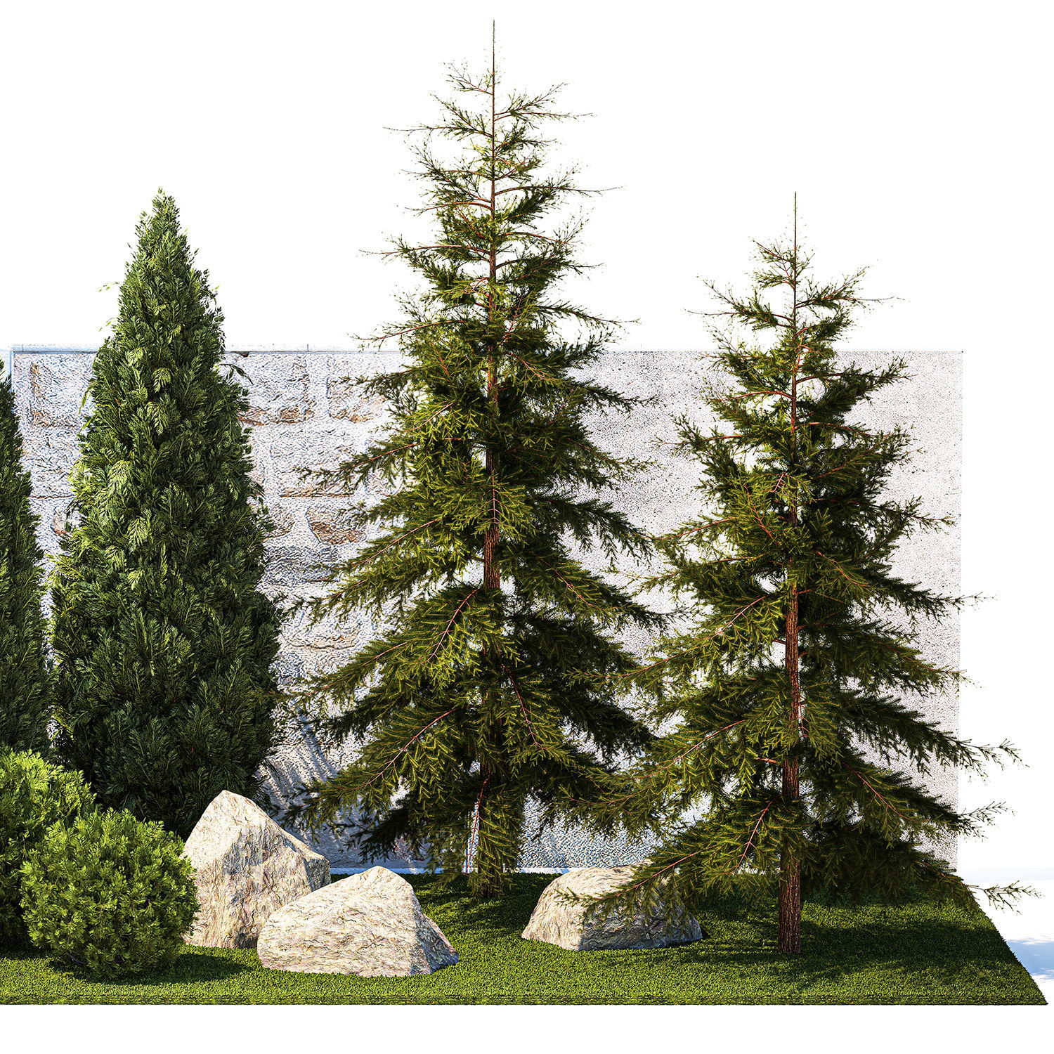 Garden with trees and bushes thuja cypress spruce and pine 1385 3D model_10