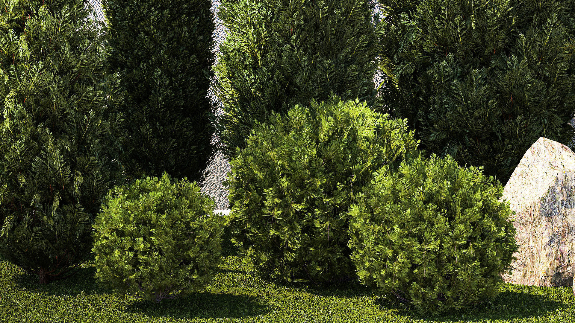 Garden with trees and bushes thuja cypress spruce and pine 1385 3D model_5