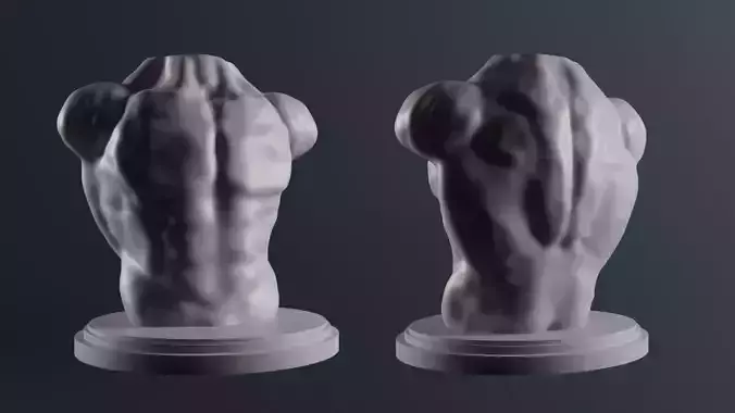 Basic torso models