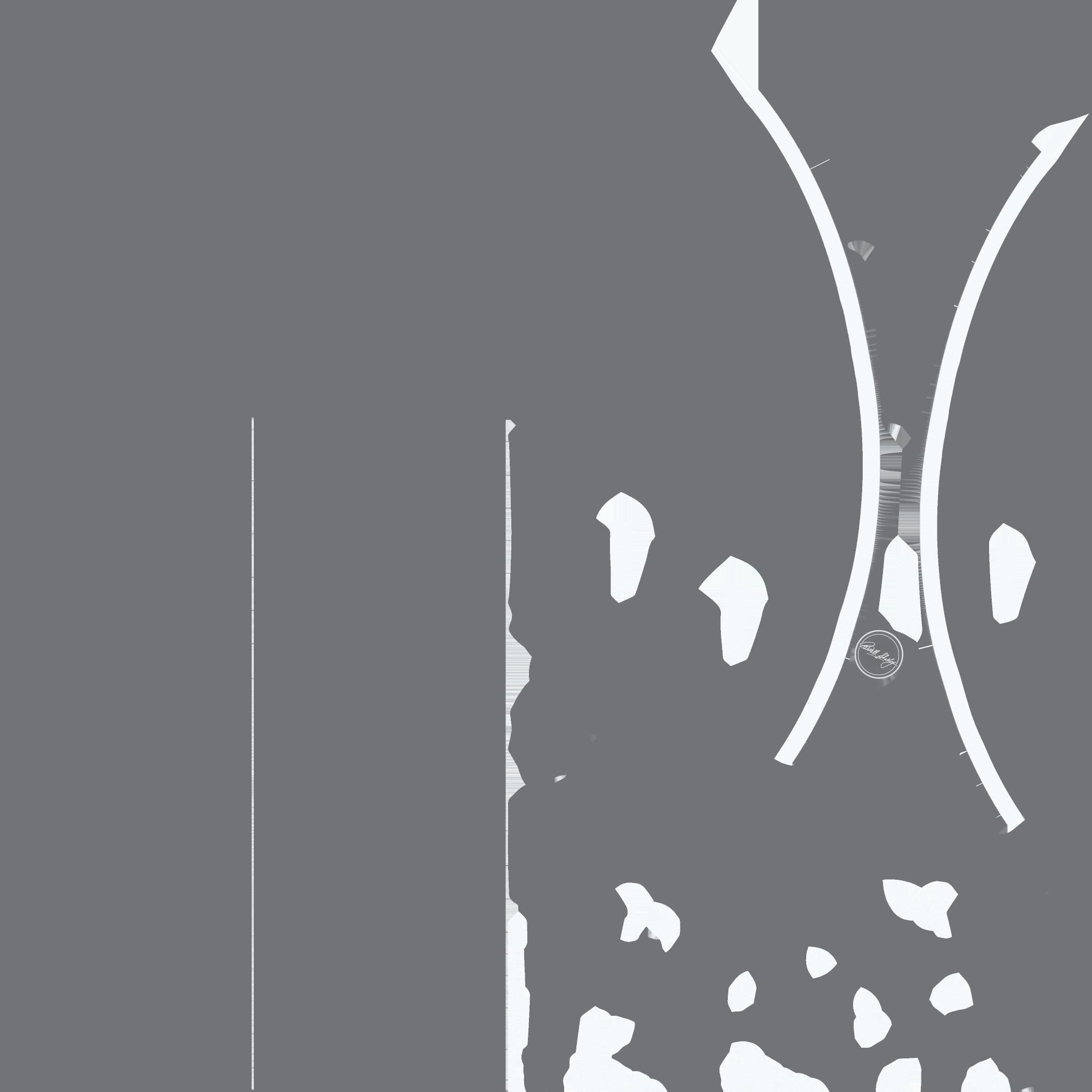 Carroll Shelby Wheel  CS11 Wheel Gloss Gunmetal With Polished  Low-poly 3D model_13