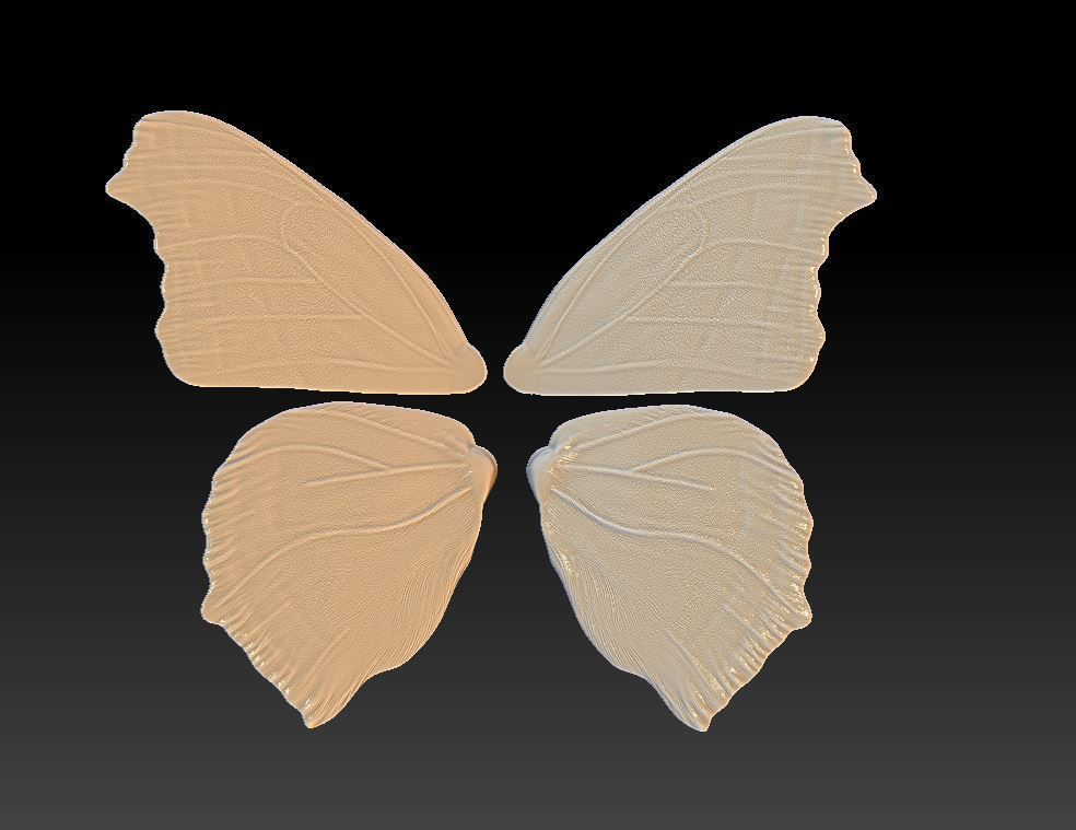  butterfly Aglais on a flower 3D print model_5