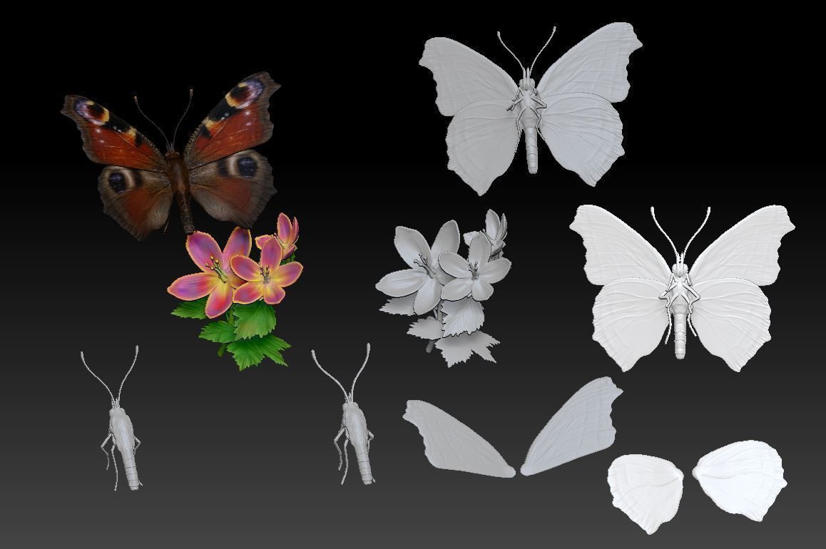  butterfly Aglais on a flower 3D print model_3