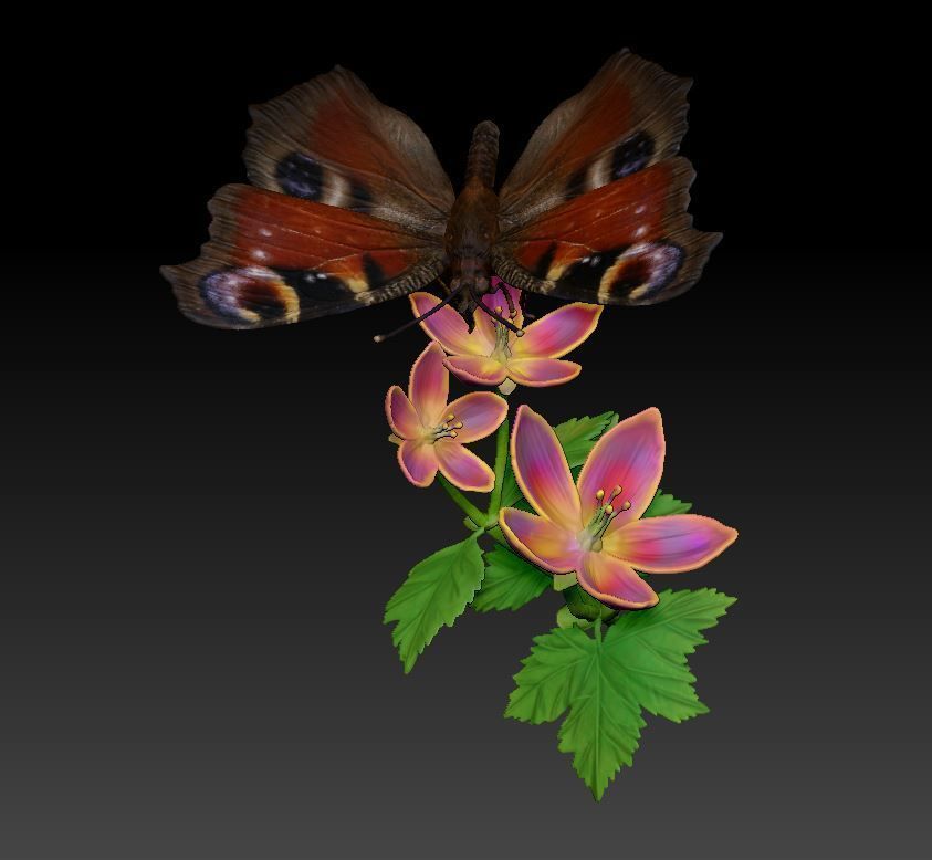  butterfly Aglais on a flower 3D print model_1