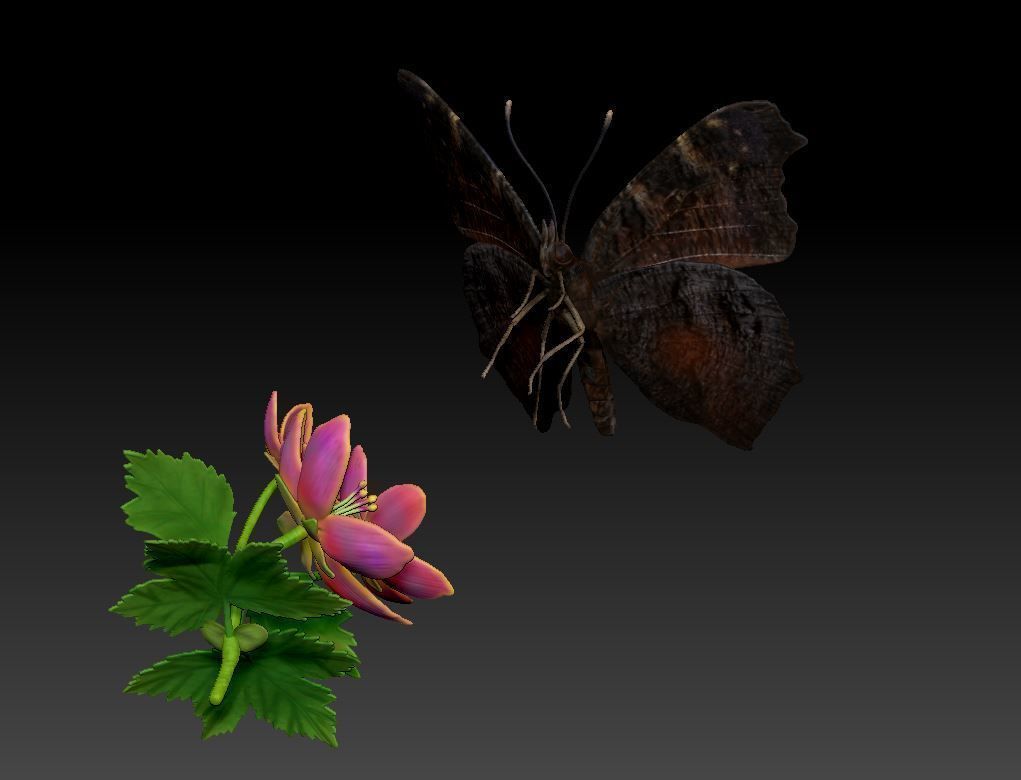  butterfly Aglais on a flower 3D print model_2