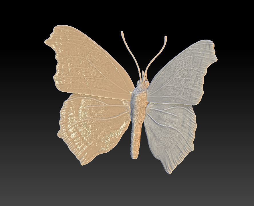  butterfly Aglais on a flower 3D print model_6