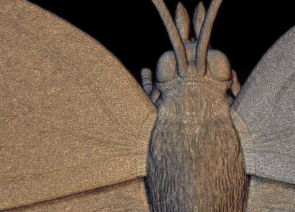  butterfly Aglais on a flower 3D print model_7