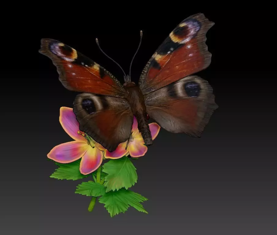  butterfly Aglais on a flower 3D print model_0