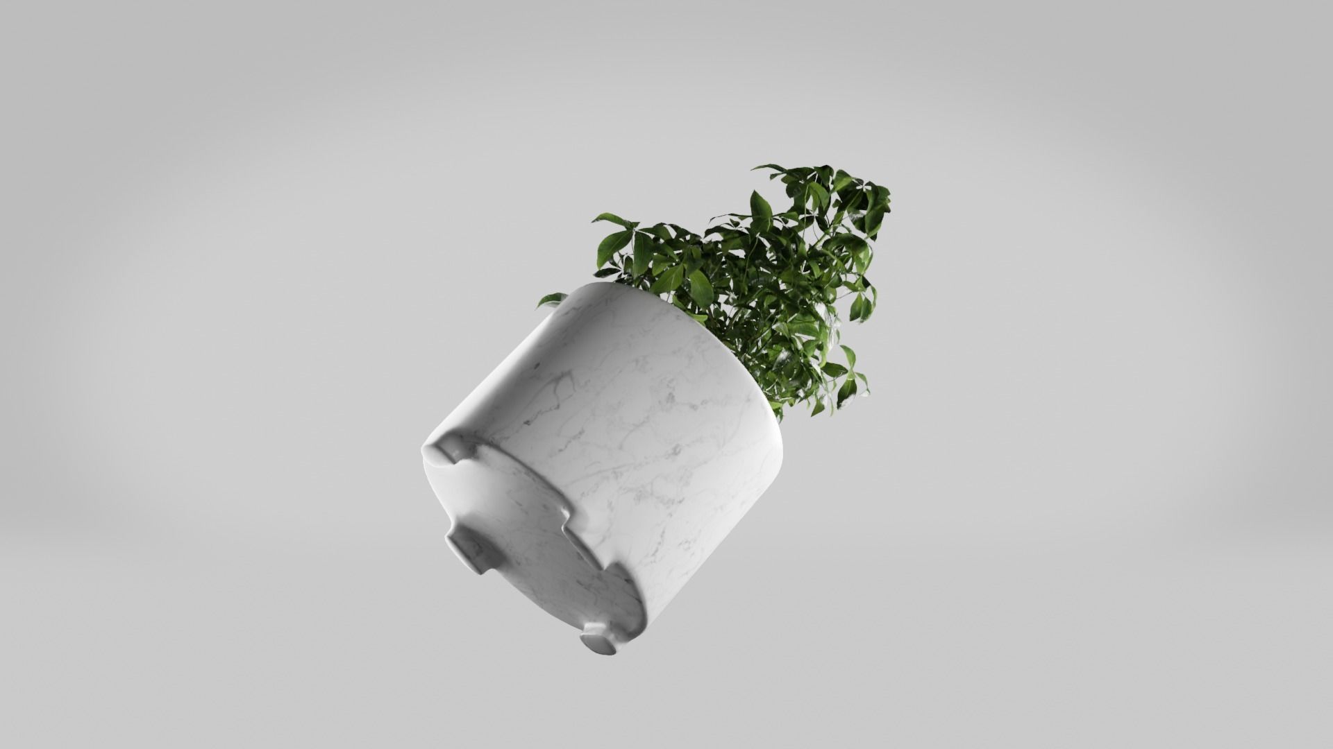 Pot Plant photo realistic house plant marble potter Free 3D model_4