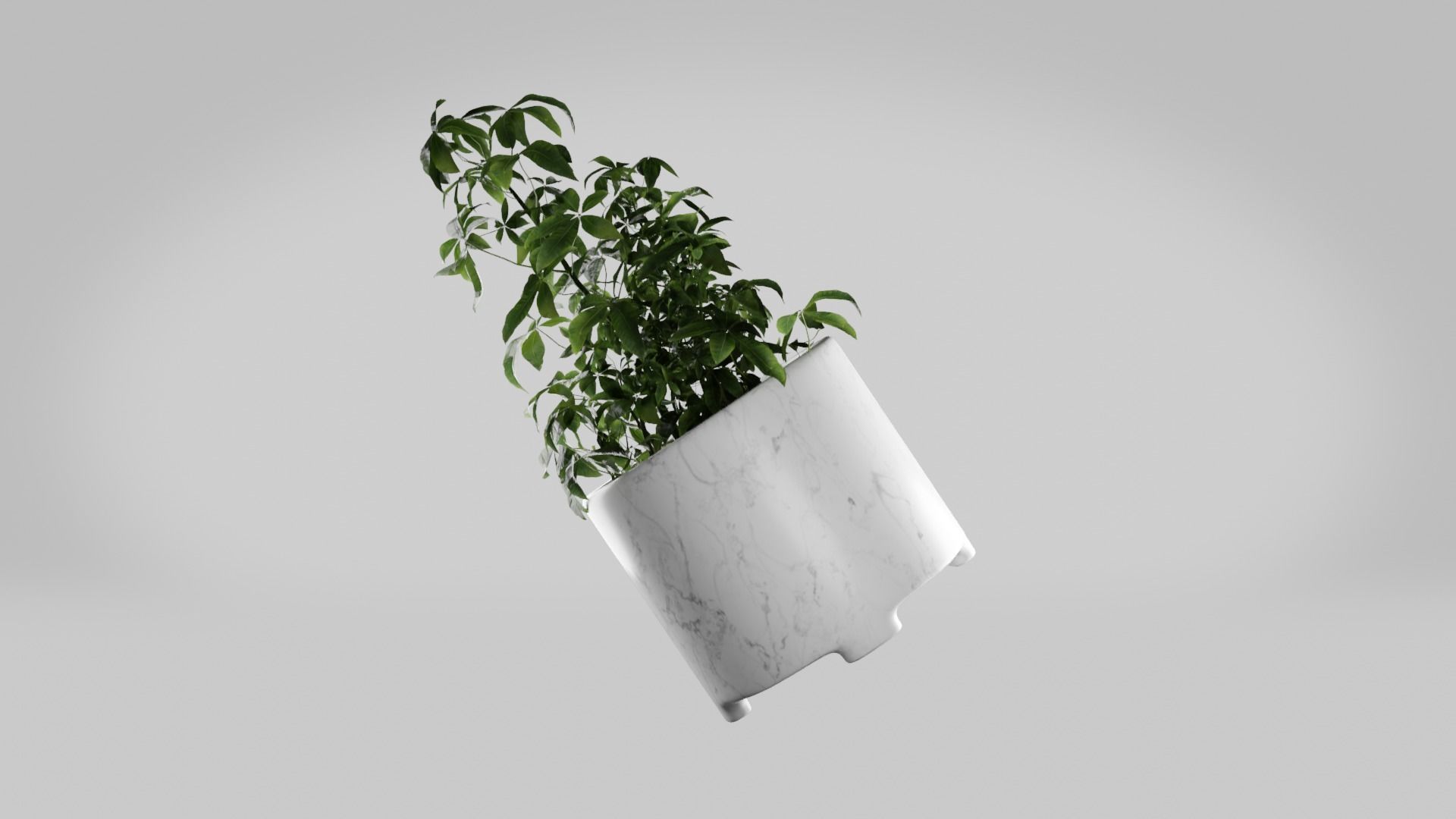 Pot Plant photo realistic house plant marble potter Free 3D model_5