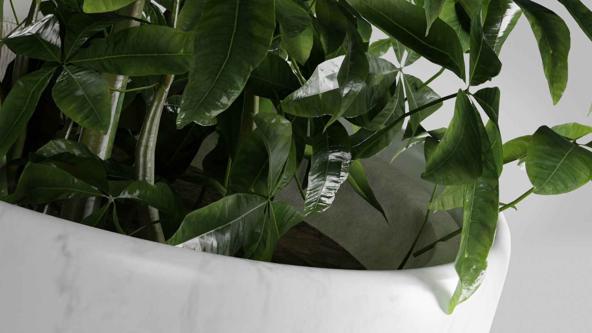 Pot Plant photo realistic house plant marble potter Free 3D model_2