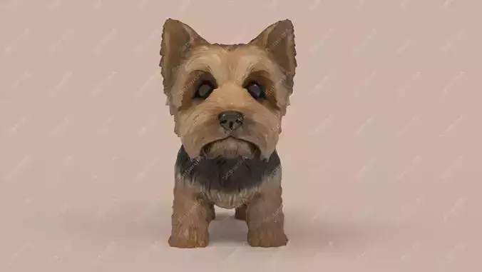 Cute Puppy Yorkshire Terrier STL and VRML