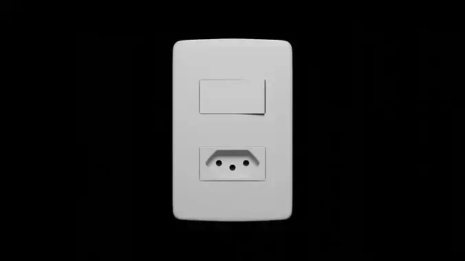 Brazilian Outlet and Switch 
