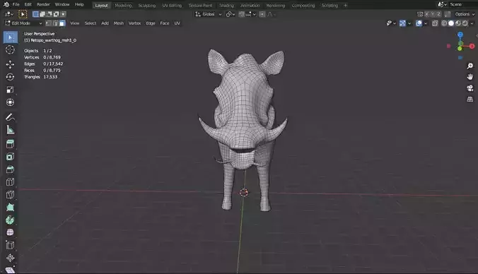 African Animal Warthog 