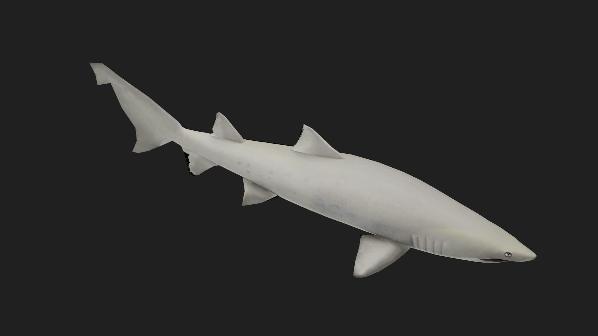 Shark Low-poly 3D model_4