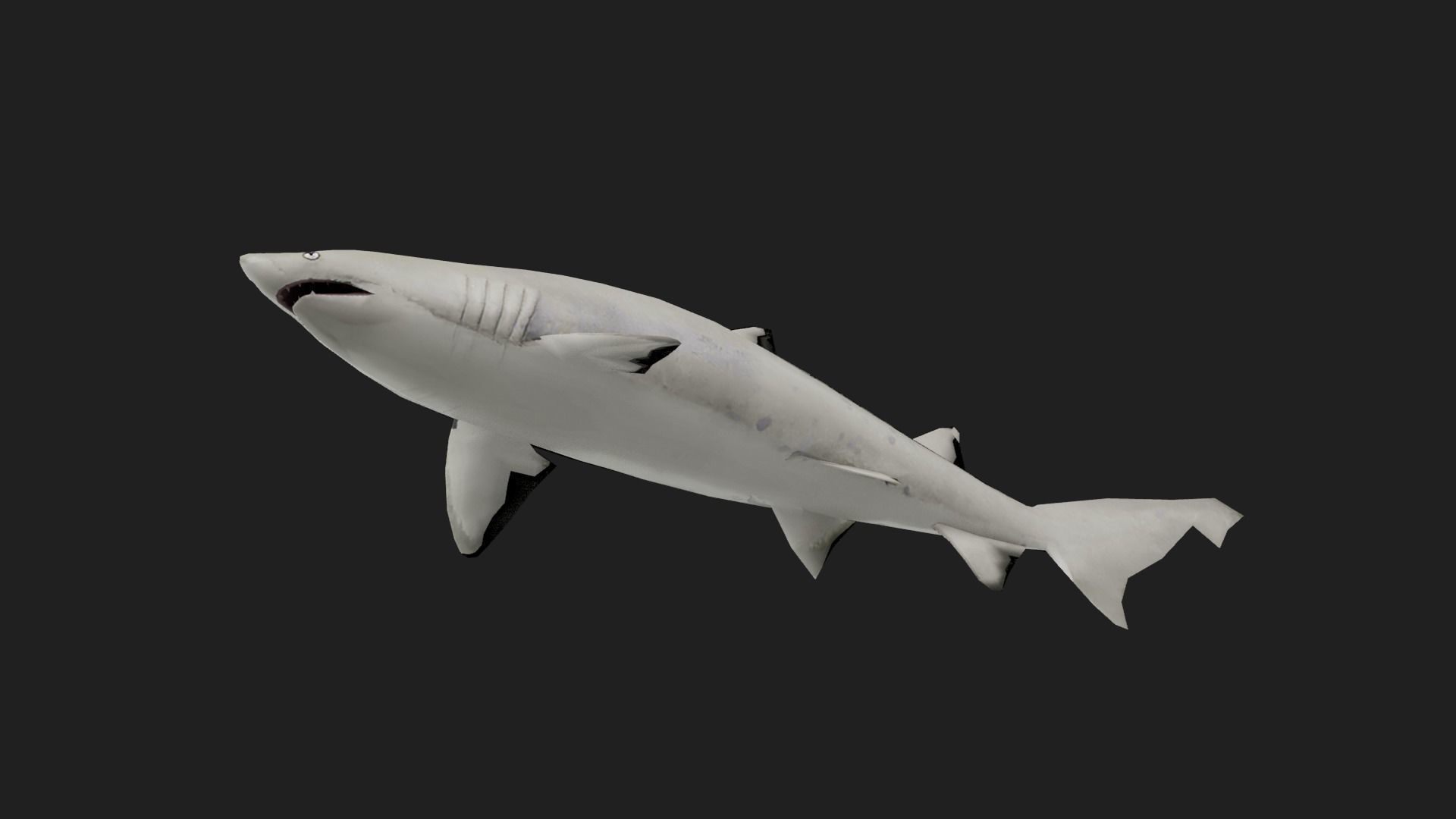 Shark Low-poly 3D model_2