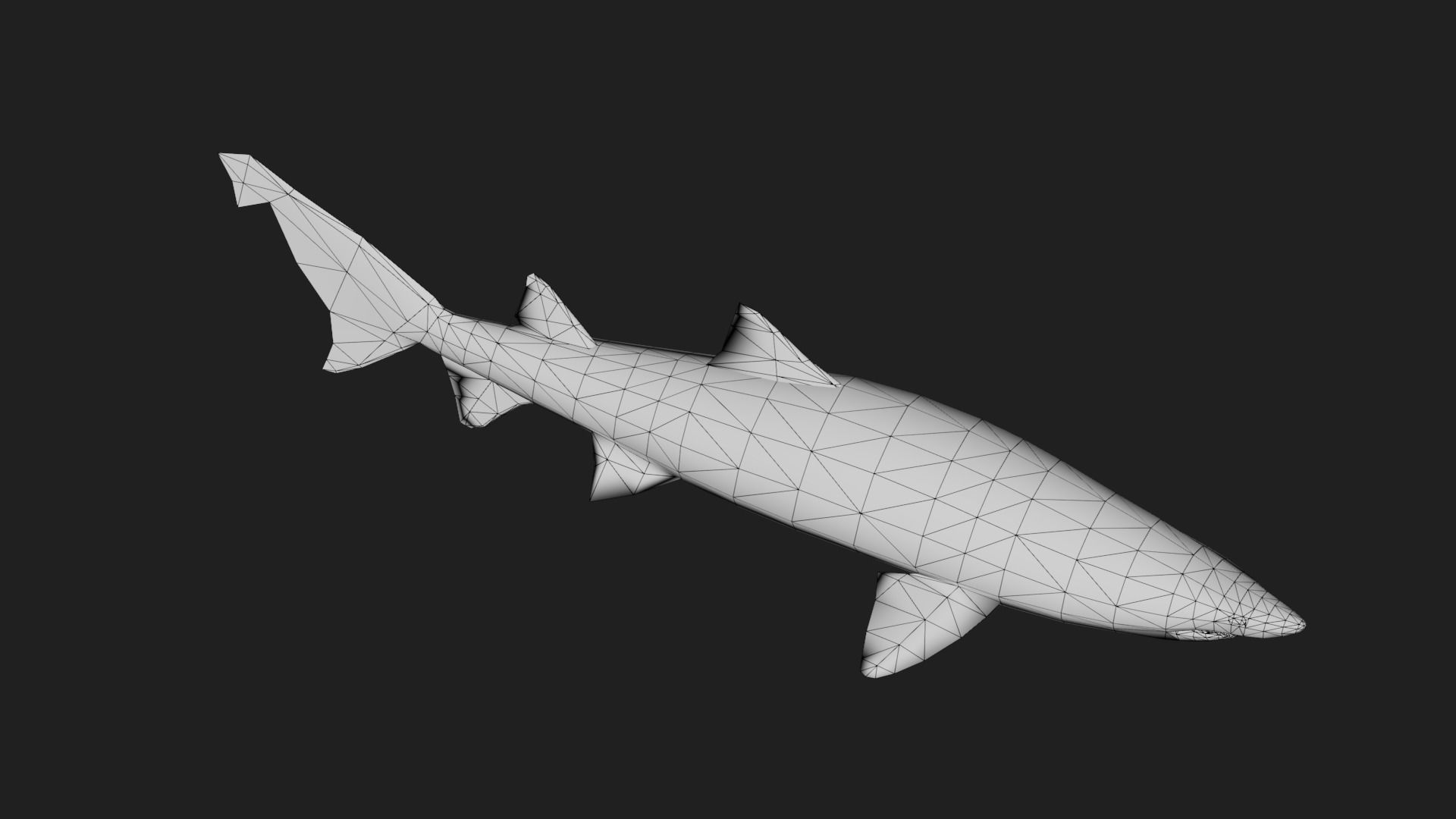 Shark Low-poly 3D model_5