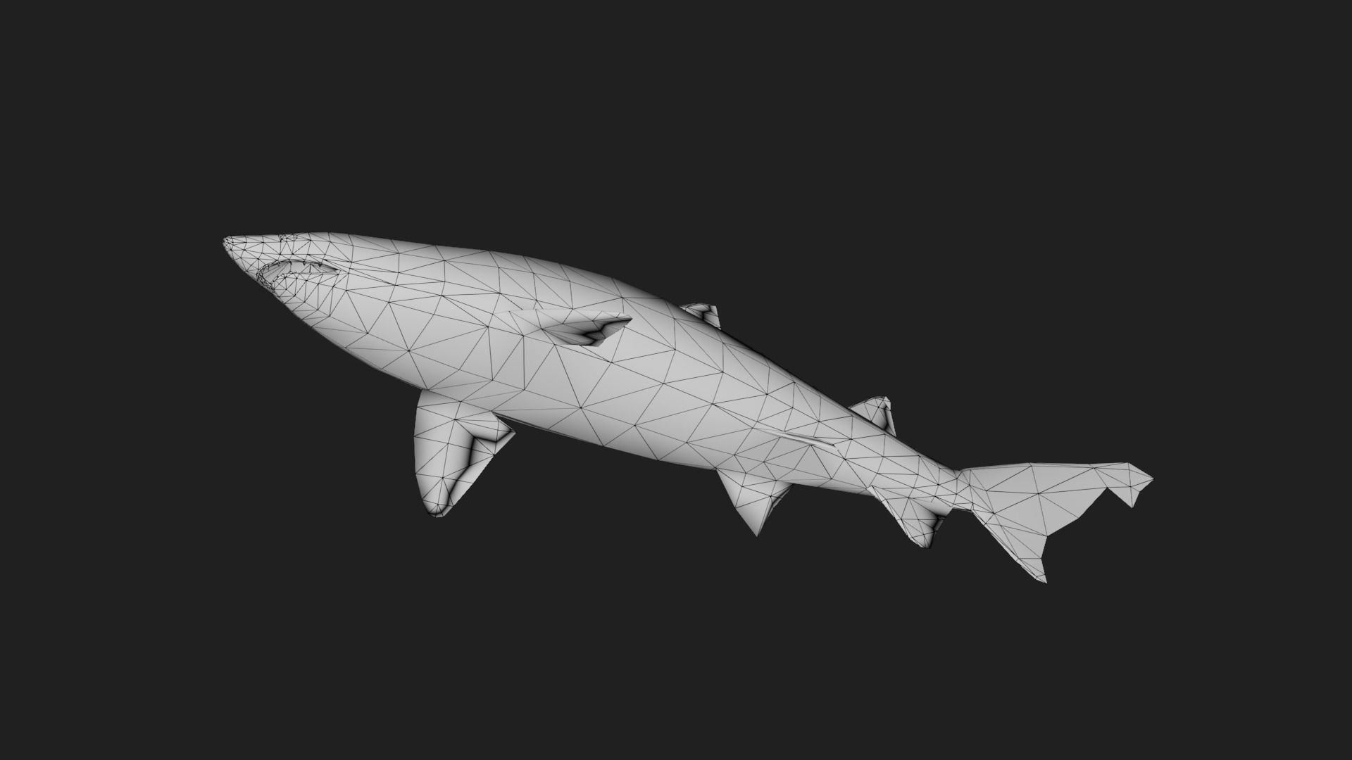 Shark Low-poly 3D model_3