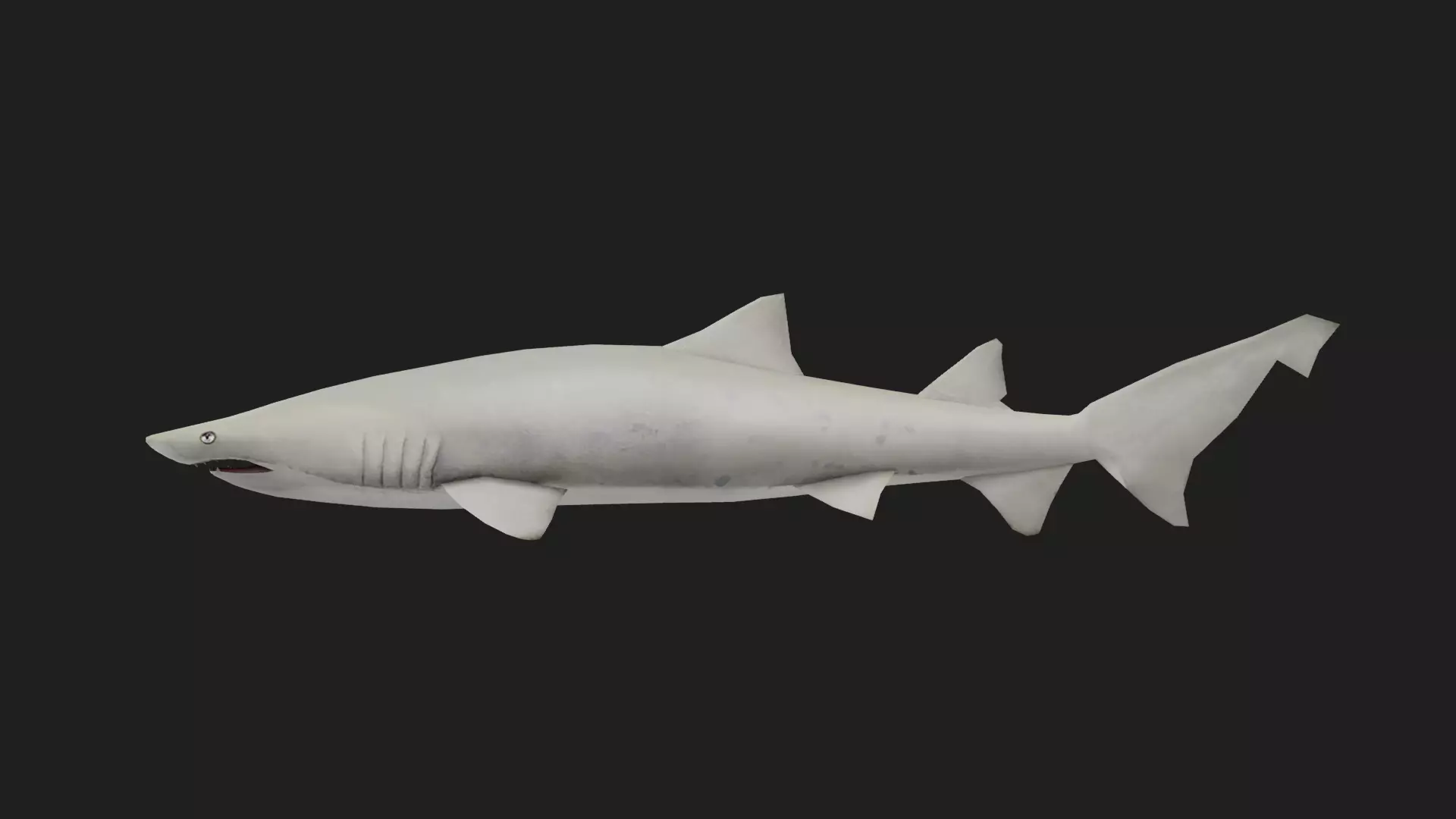 Shark Low-poly 3D model_0