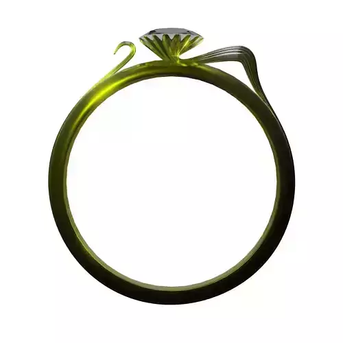 RING model