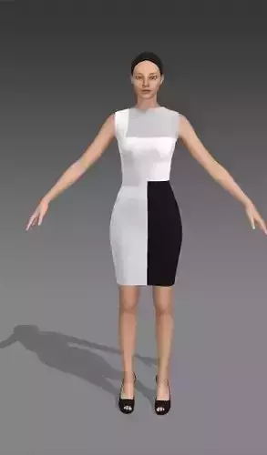Dress black white gray color block pencil form dress modern look Low-poly 3D model