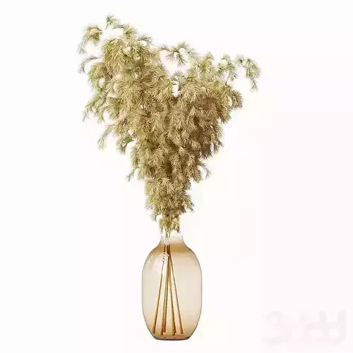 Pompas bouquet 3D model