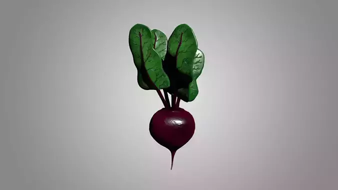 Radish