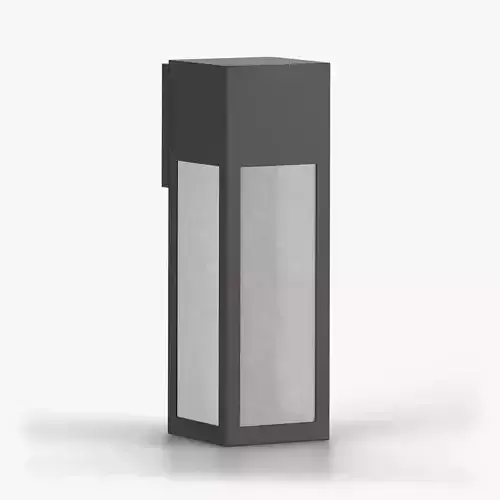 Hinkley Rook Large Wall Mount Lantern