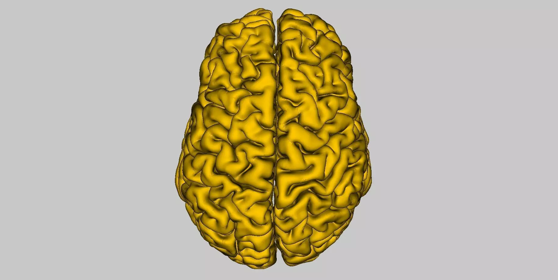 Brain 3d for CNC and printing 3D print model_0