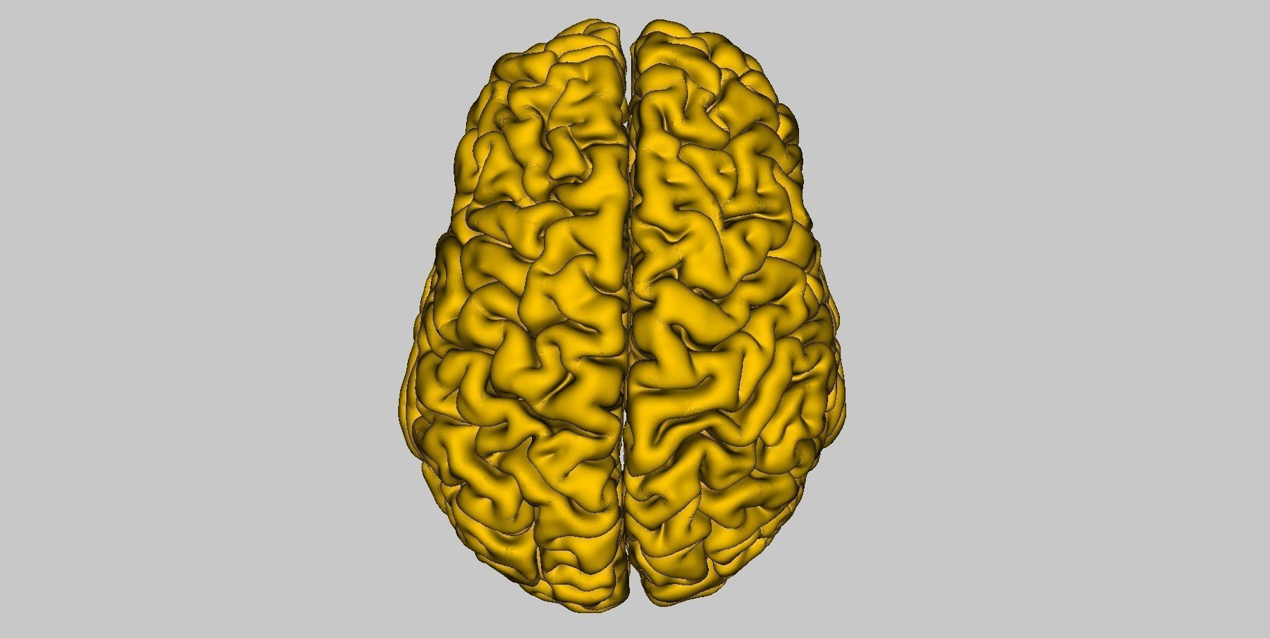 Brain 3d for CNC and printing 3D print model_3