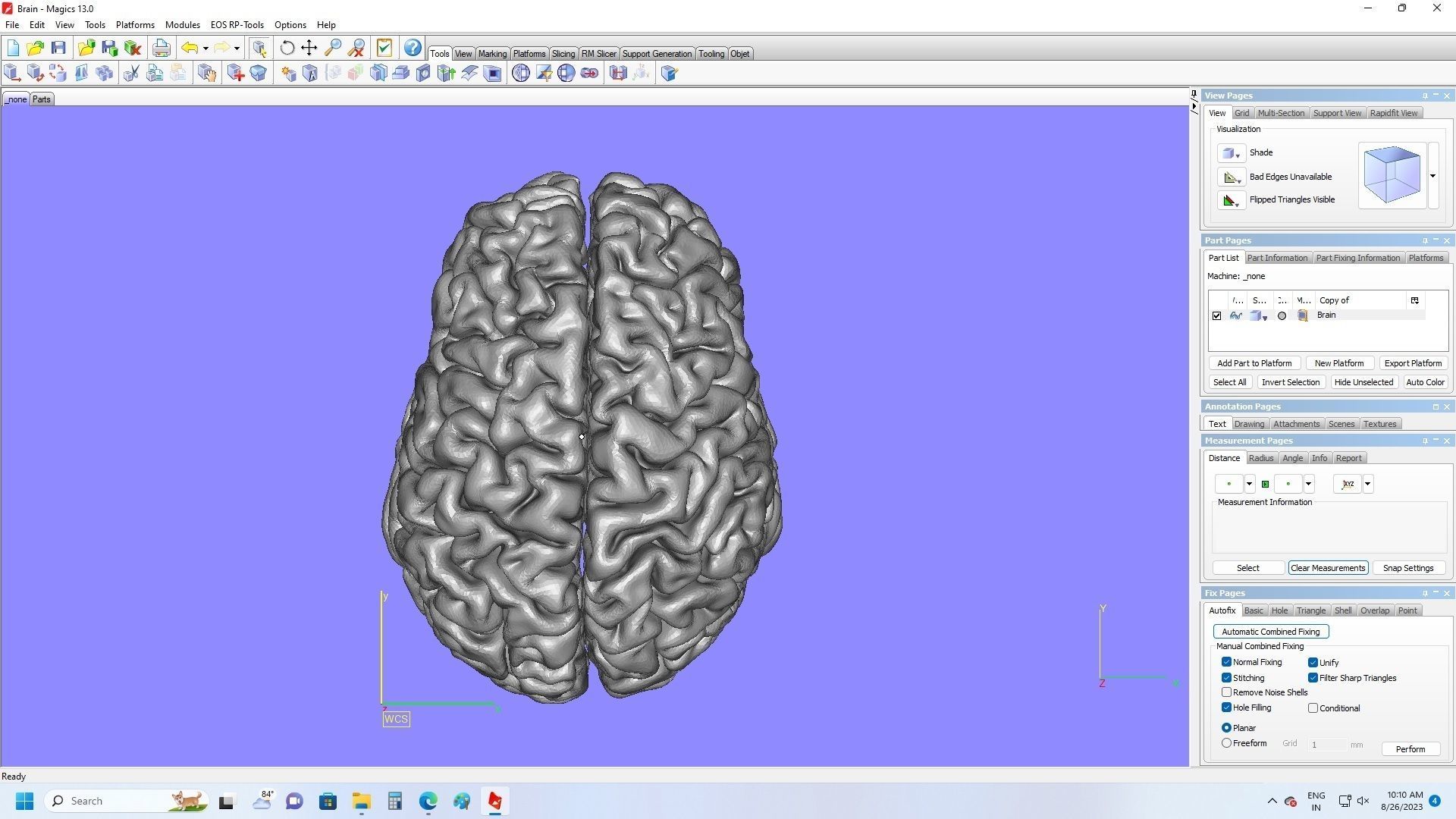 Brain 3d for CNC and printing 3D print model_1