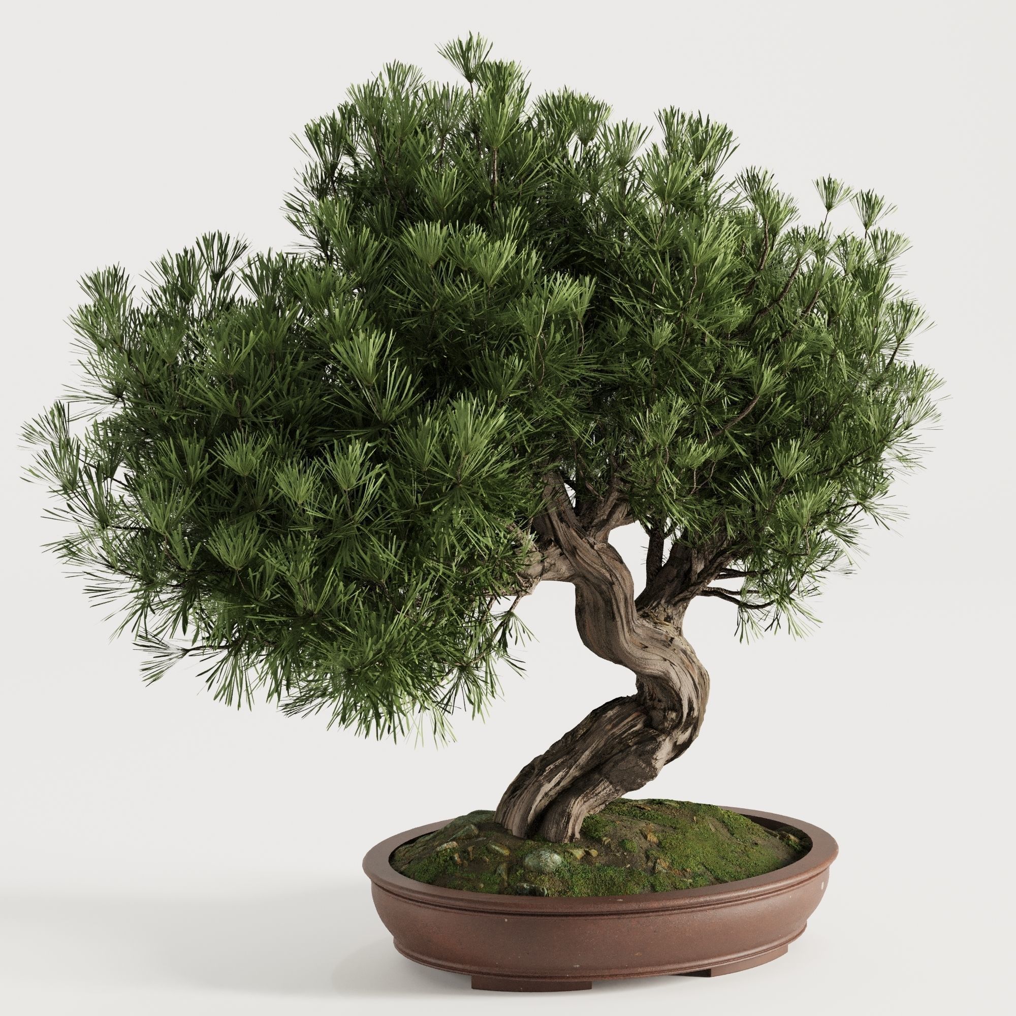 Bonsai Tree set4 3D model_5