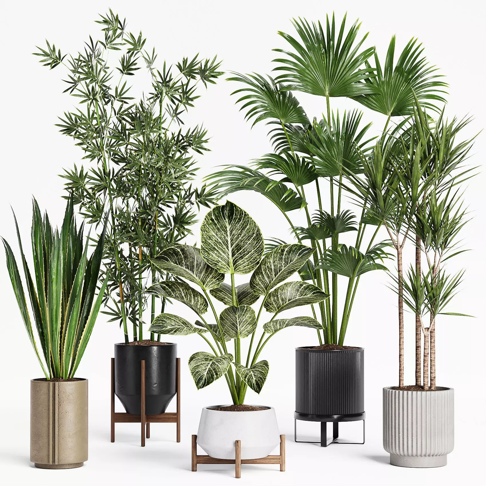 Indoor Plants Set 24 3D model