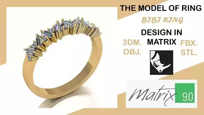 BIBI model of ring VOL 30 3D print model