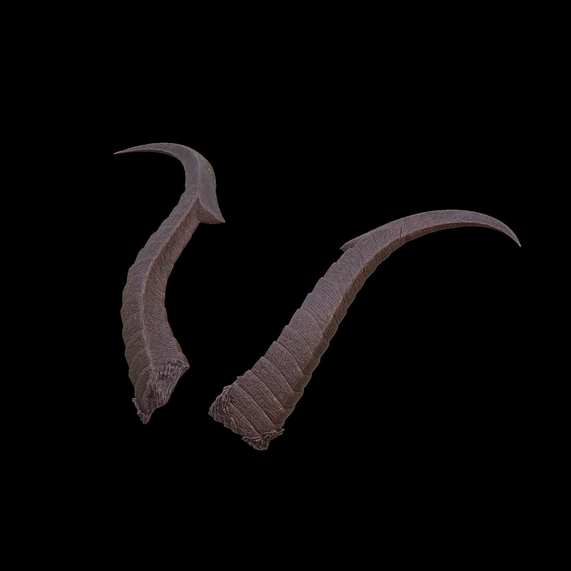 Fantasy Ruin Curves Horns Set Baldurs Gate 3 3D print model_10