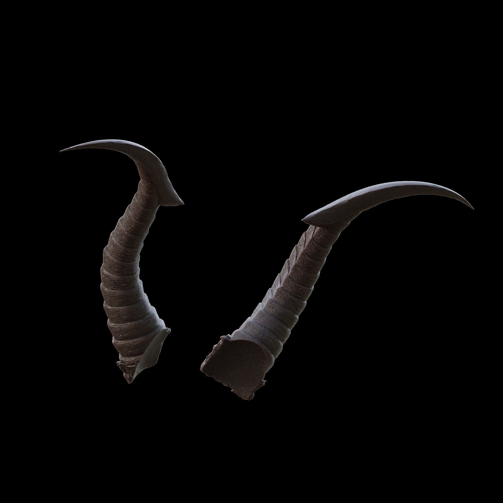 Fantasy Ruin Curves Horns Set Baldurs Gate 3 3D print model_11