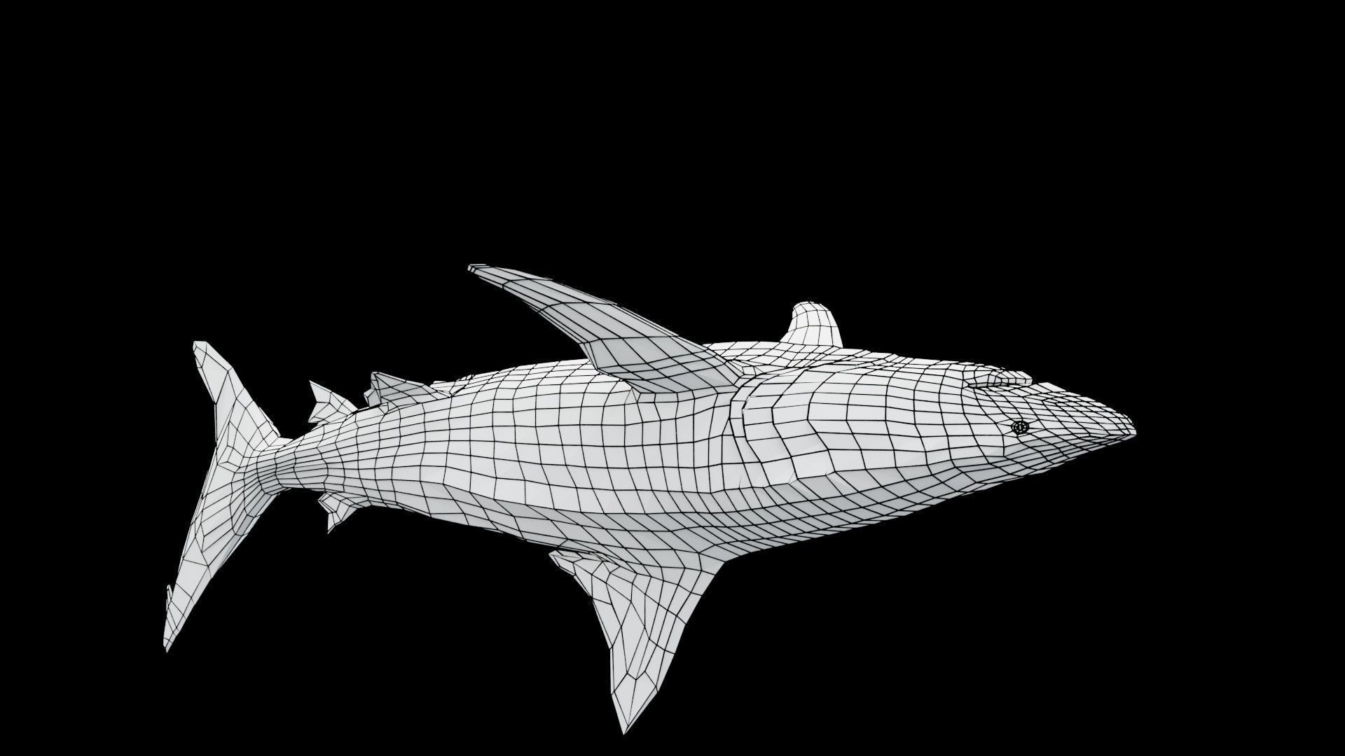 Oceanic Blacktip Shark Low-poly 3D model_18