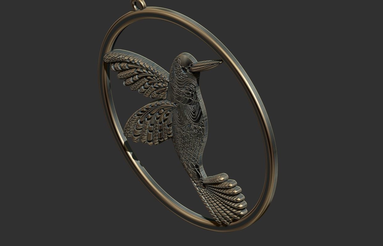 Colibri - Hummingbird - Beija flor 3D print model_11