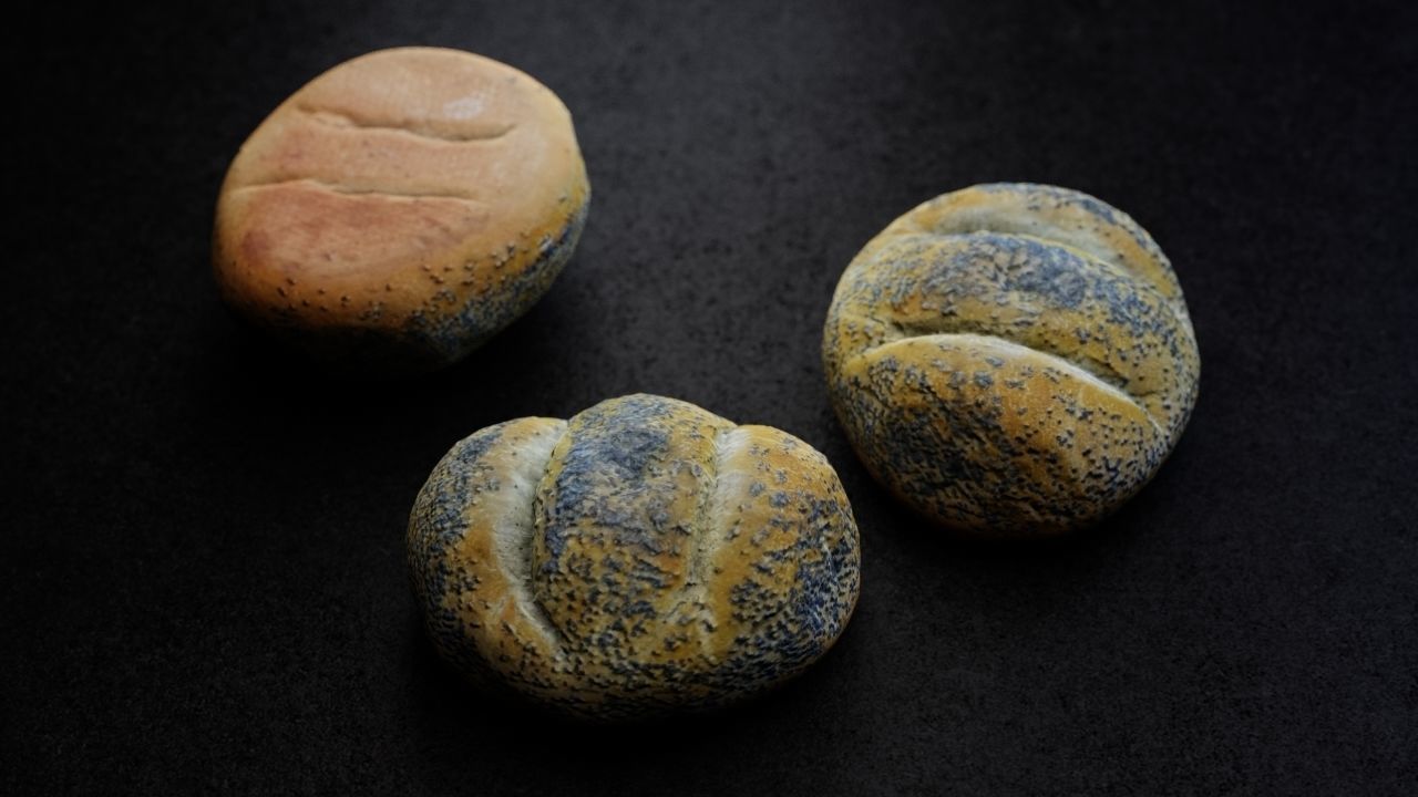 Poppy Seed Roll 3D model_4