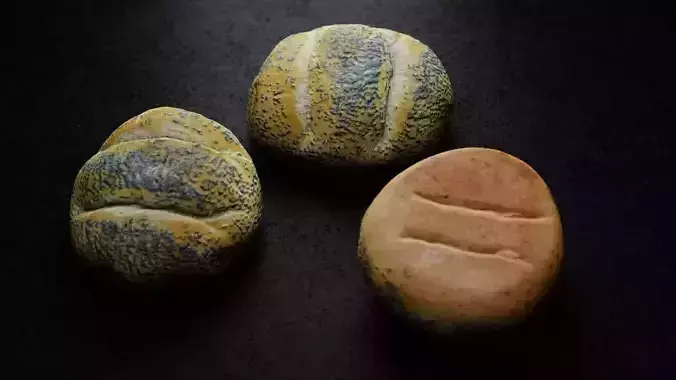 Poppy Seed Roll 3D model